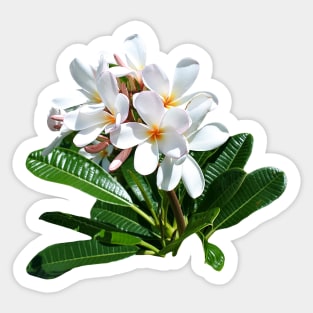 flower Sticker